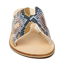 Grayson Slide MULTI SNAKE