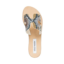 Grayson Slide MULTI SNAKE