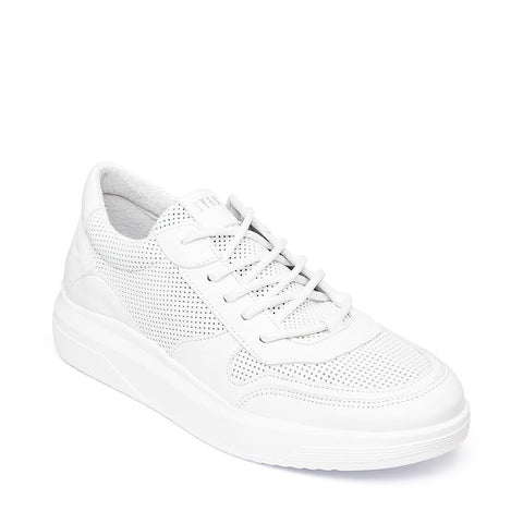 Franklo Sneaker WHITE LEATHER